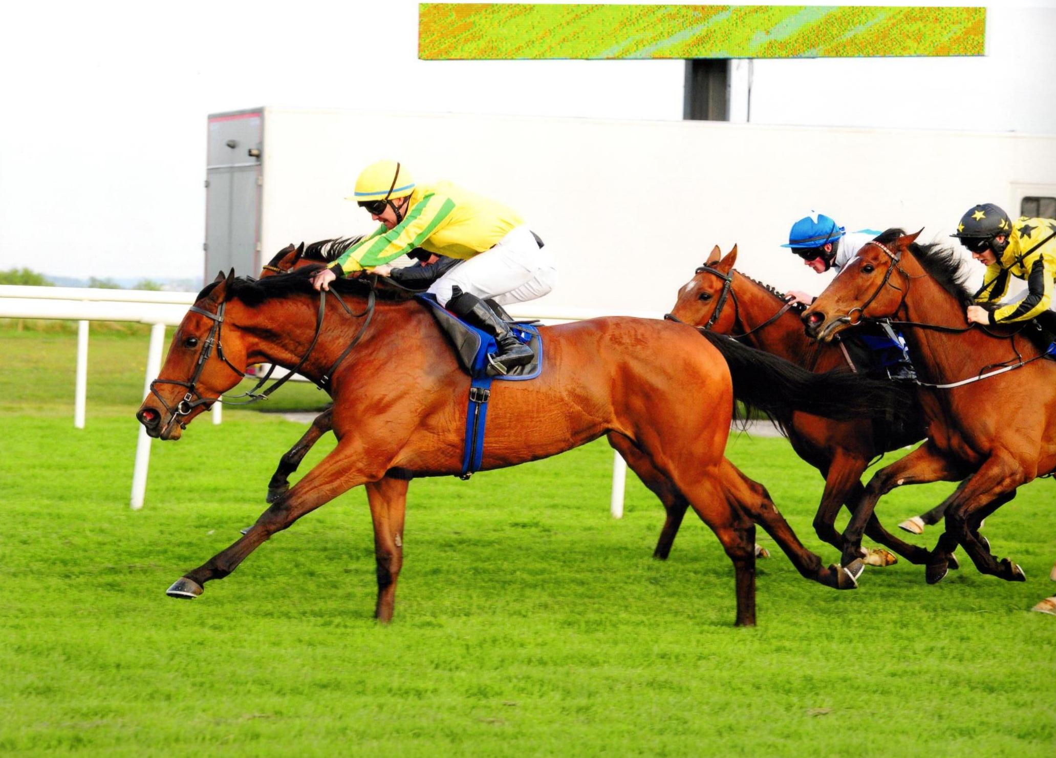 SYNOPSIS makes her trip to the west a winning one at Roscommon 09 May 2016
